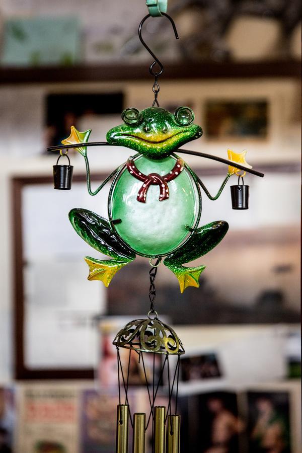 The Pickled Frog Vandrerhjem Hobart Eksteriør bilde